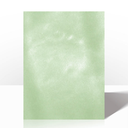 Gelatin-Based Bioplastic
