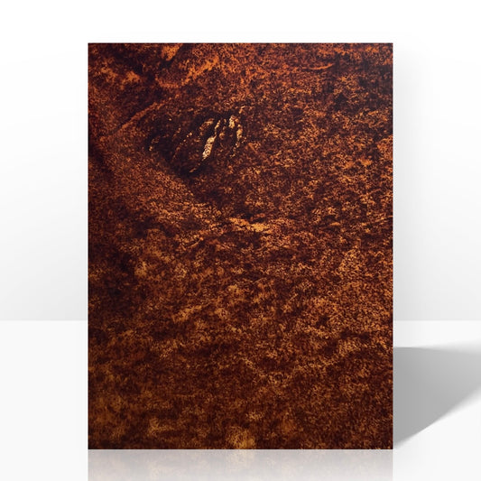 Coffee Grounds Bioleather