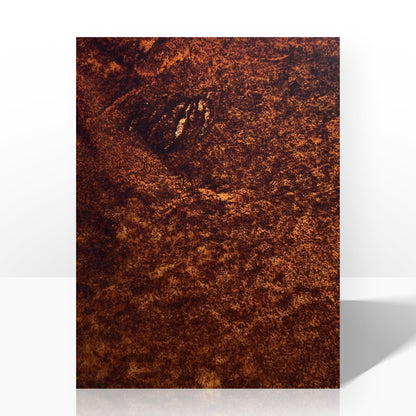 Coffee Grounds Bioleather