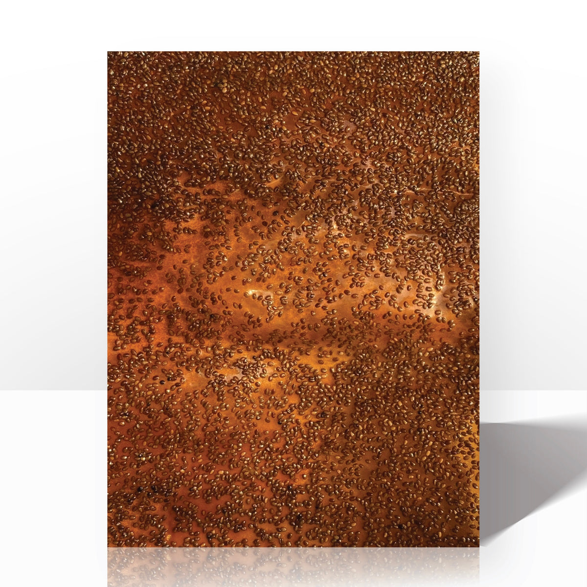 Chia Seed Bioleather