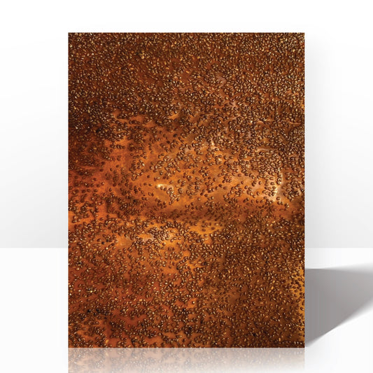 Chia Seed Bioleather